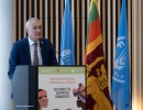 tea day