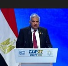 7 11 2022 president wickremesinghe cop 27 cairo Egypt