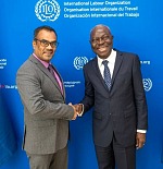 ilo dg