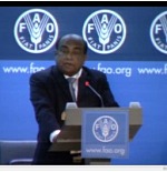 FAO Rome June 2013