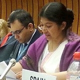 dpr 105iomcouncil 26nov2014