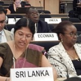 unhrc-2oct2014-web